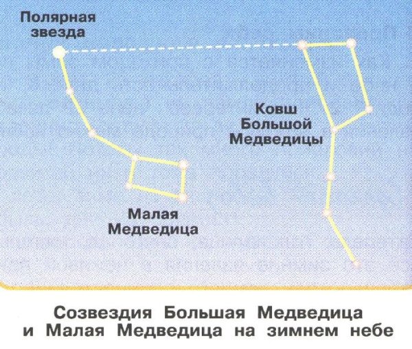 Созвездие малой медведицы 7 звезд