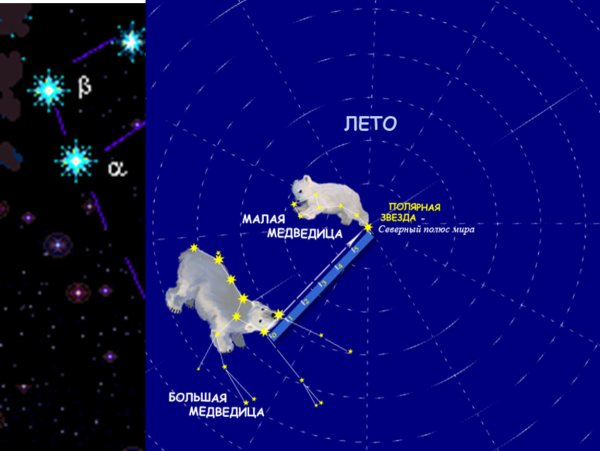 Где находится ковш малой медведицы