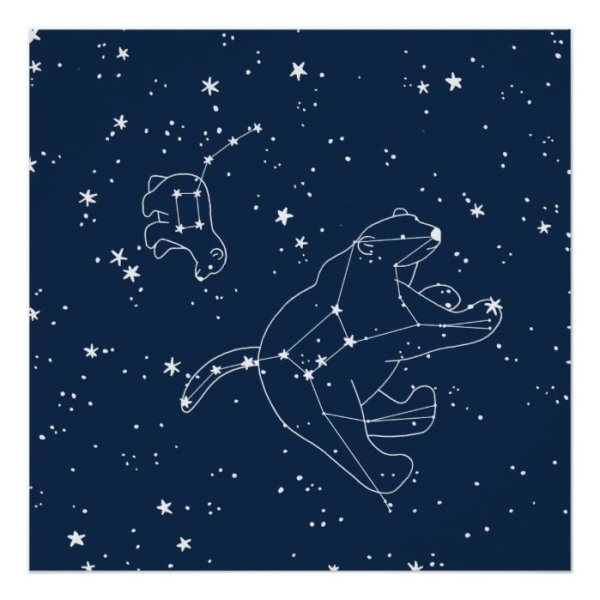 Созвездие малой медведицы фото на небе