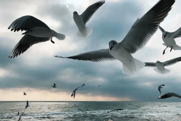 Человек уходит в небо