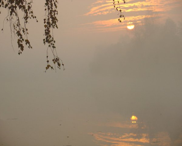 И отпустить их к птицам стих