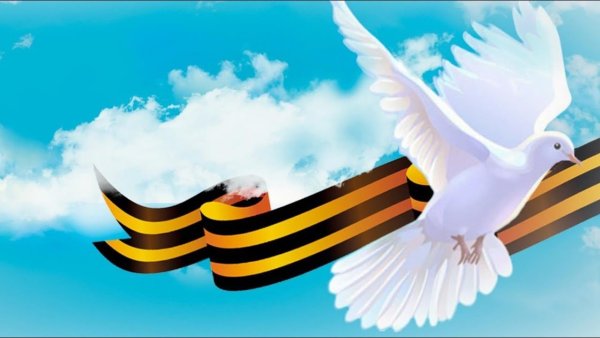 Мирного неба над головой