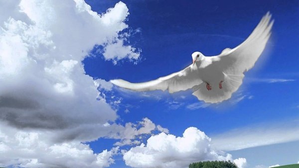 Доброго дня и мирного неба