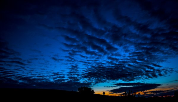 Лес вечером