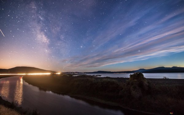 Дерево вечером