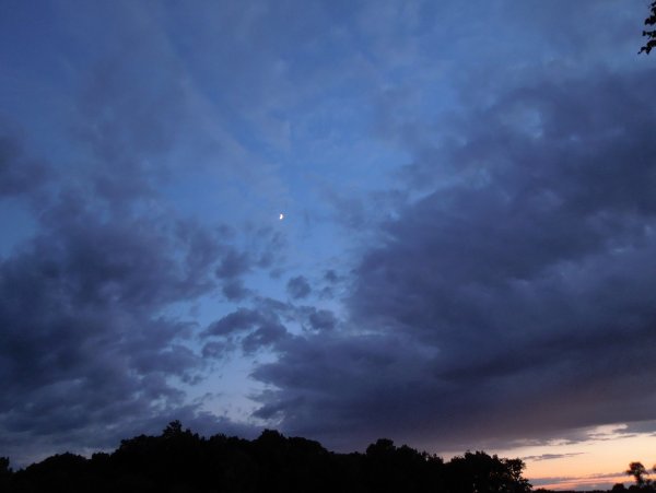 Лес вдали ночью