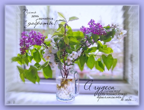 Пожелания с добрым майским утром