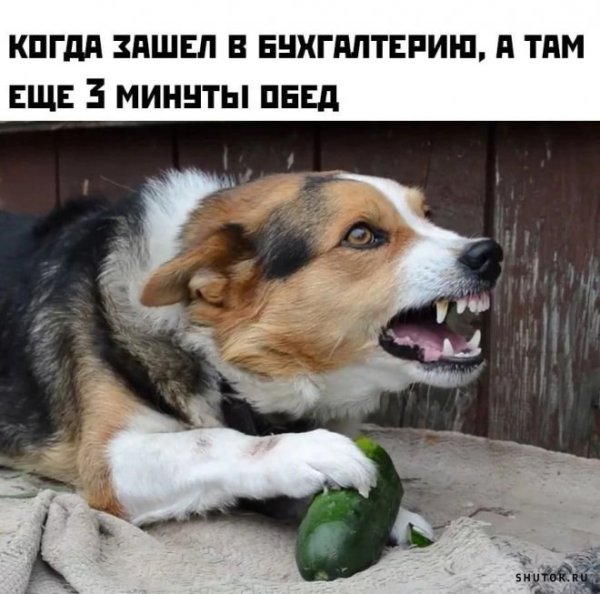 Душа плачет