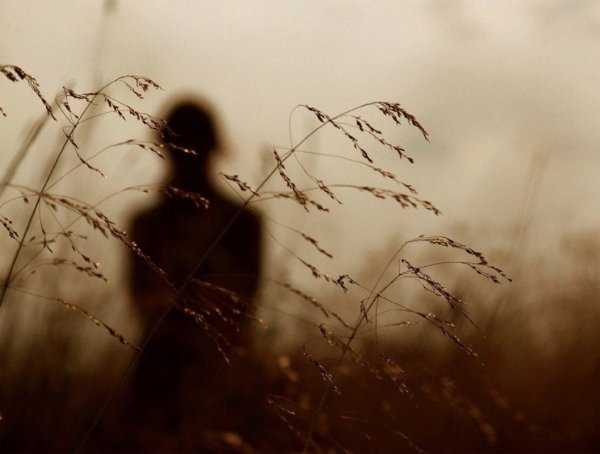 Светлая печаль