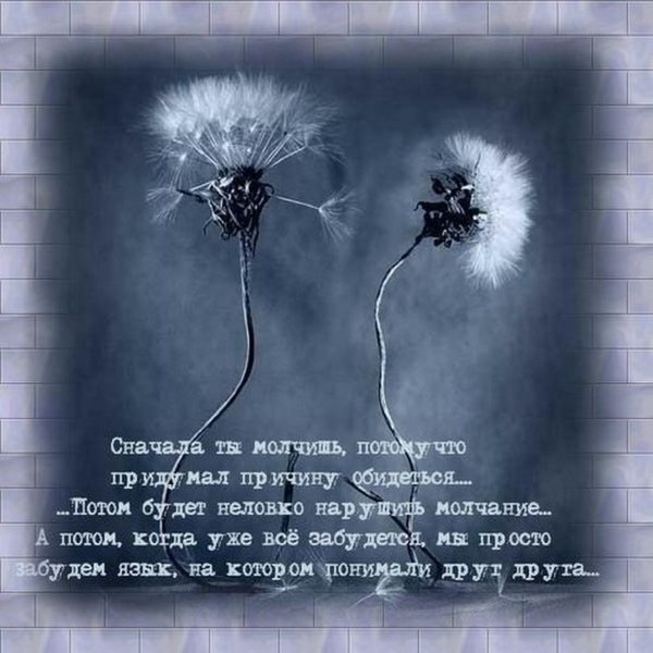 Цитаты про обиду