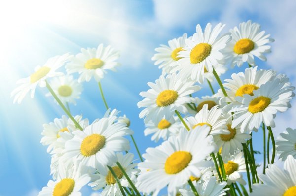 С добрым воскресным утром