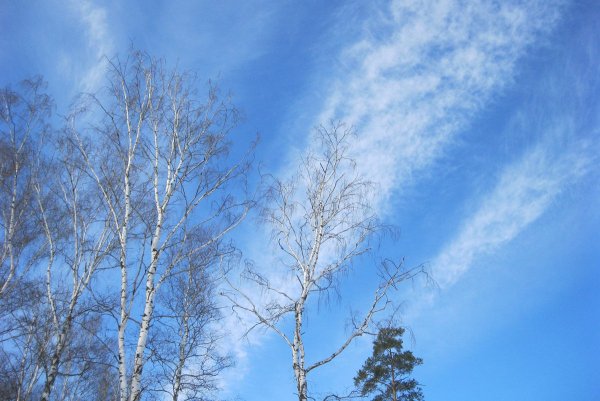 Февраль небо