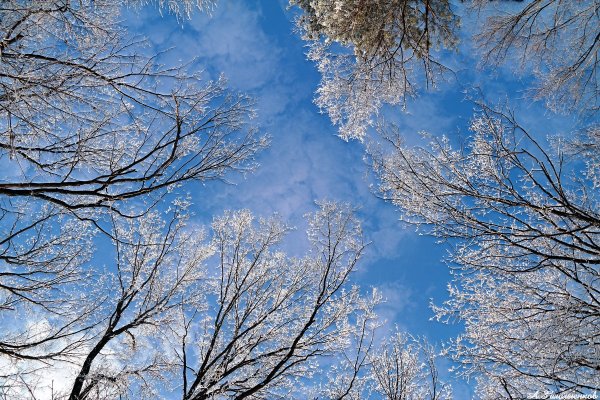 Февральское небо