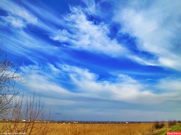 Утро февраль небо