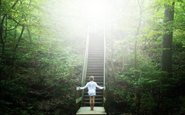 Лестница ввысь