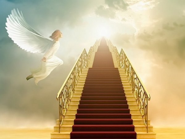 Лестница в небо