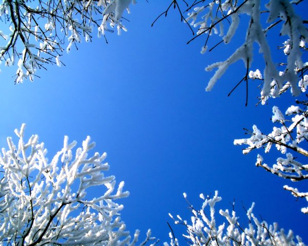 Делайте добро а наипаче своим по вере