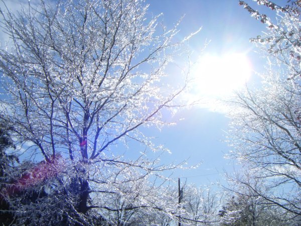 Март пейзаж