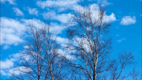 Весеннее небо