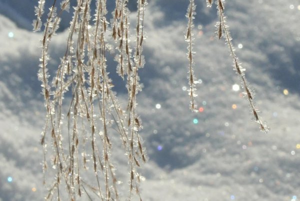 Сверкающий снег