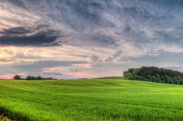 Природа поле