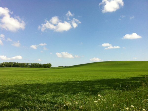 Green Hills зеленые холмы