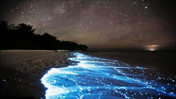 Спокойное море