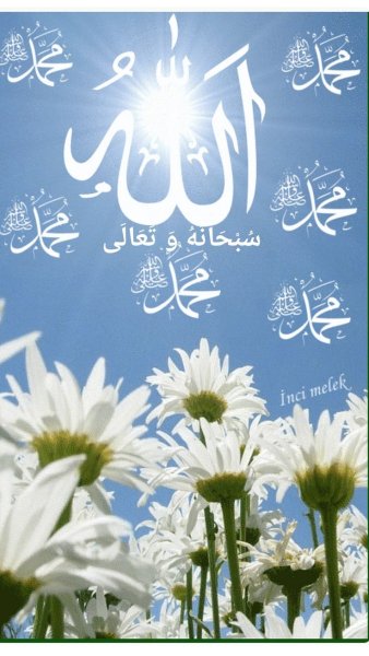 Доброе утро ромашки и солнце