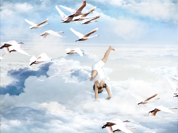 Журавль в небе