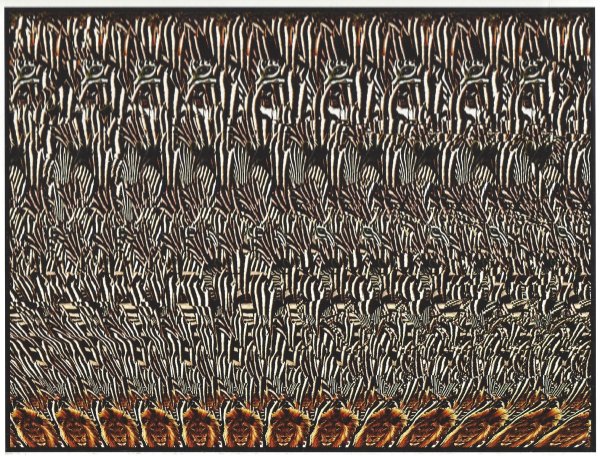 Стереокартинки Гигер