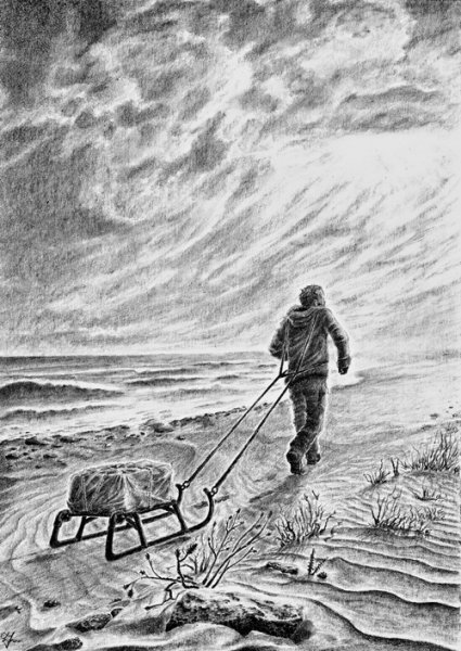 Дерево с мощными корнями