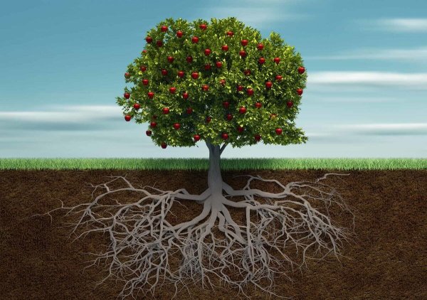 Biomutant Древо жизни