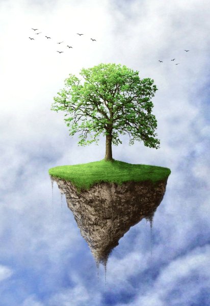 Корень дерева для детей