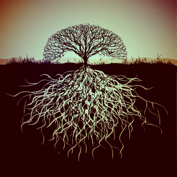 Группа корни альбомы