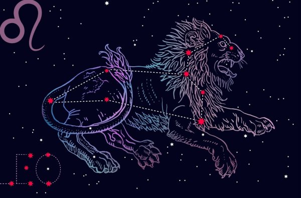 Космический Партизан звери
