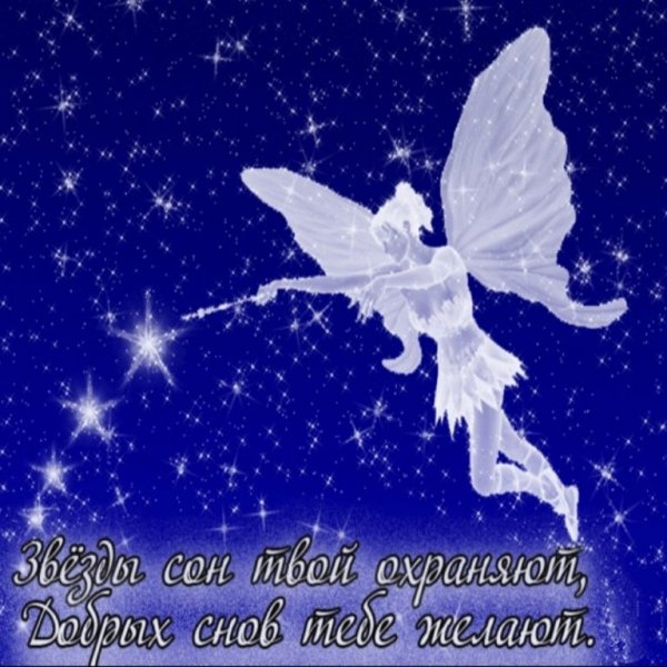 Спокойной летней ночи стихи