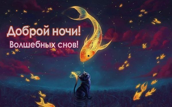 Спокойной ночи