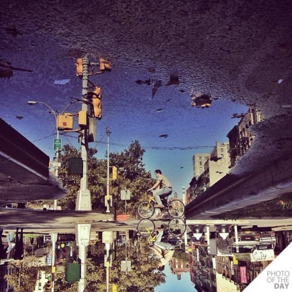 Перевернутый мир