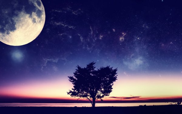 Ночное небо