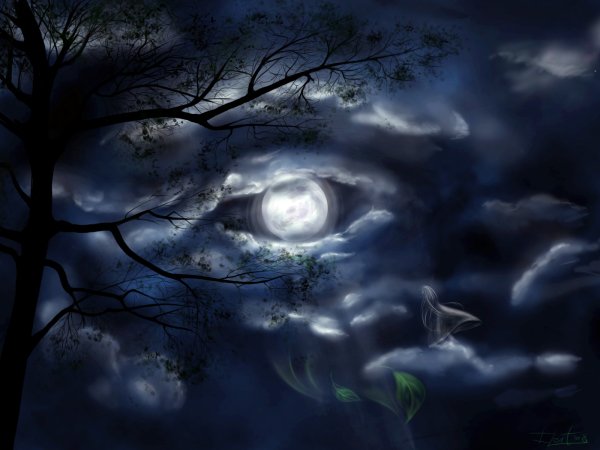 Мистический сон