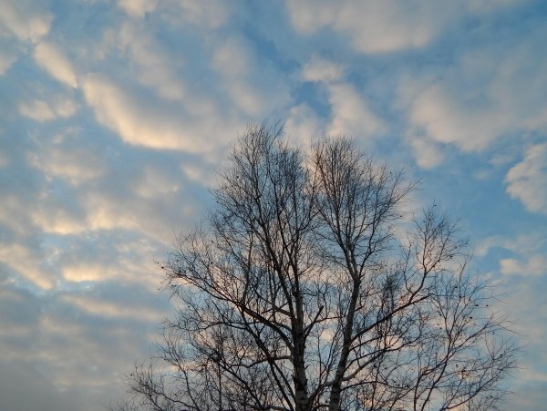 Небо с облаками