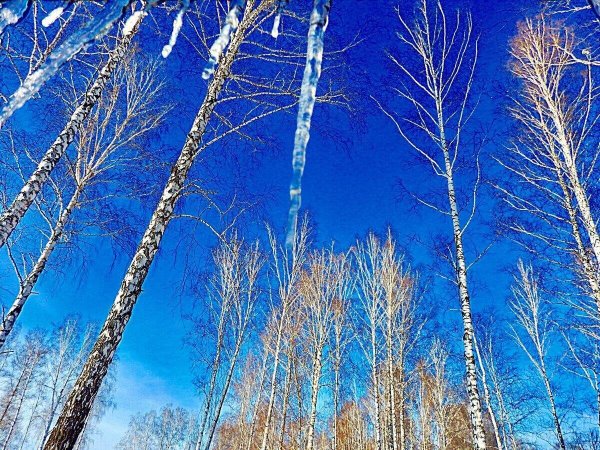 Голубое Весеннее небо