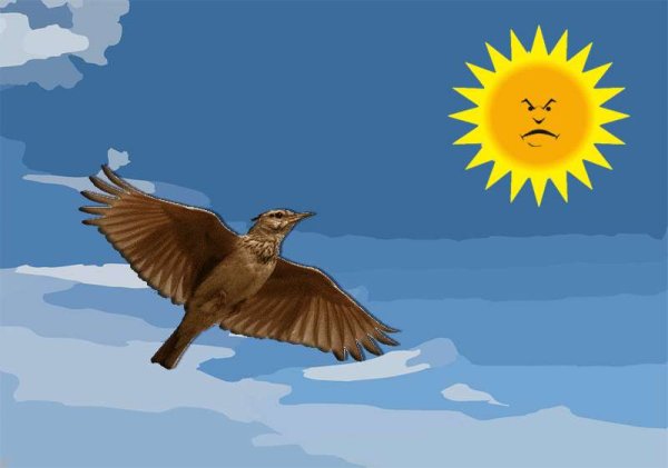 Жаворонок в небе