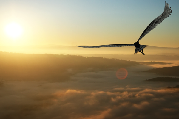 Будь всегда на высоте с днем рождения