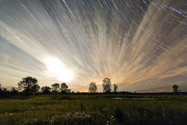 Мэтт Моллой