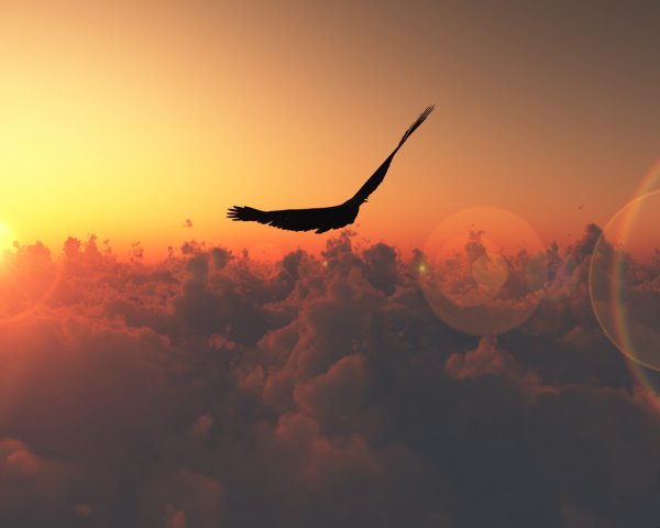 Воздушный шар над морем