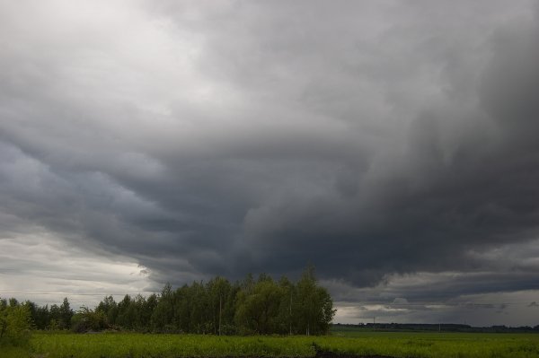 Темнеющее небо