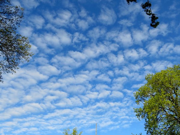 Ночь смотрит тысячами глаз стих