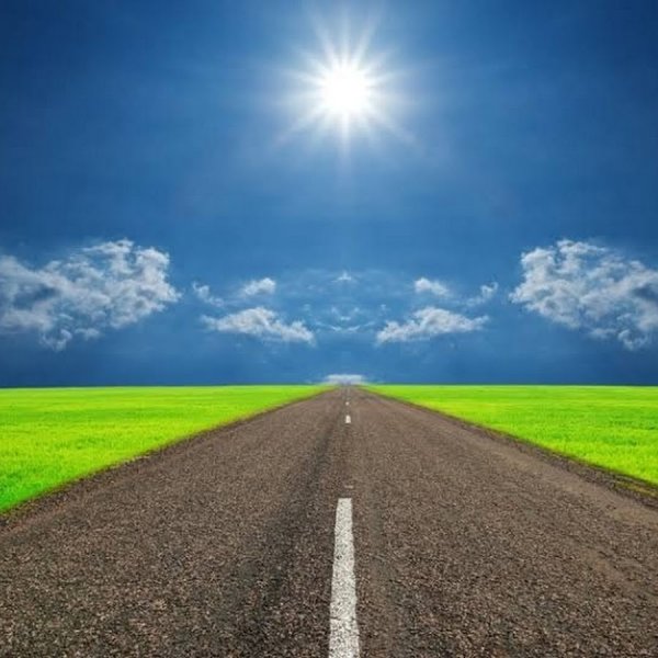 Тропинка в поле