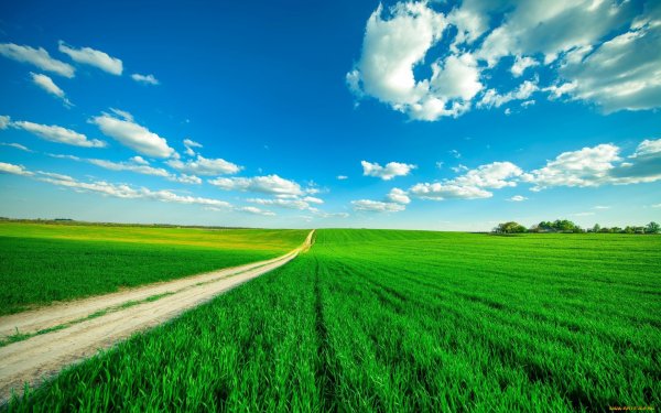 Родные просторы Пушгоры панорама